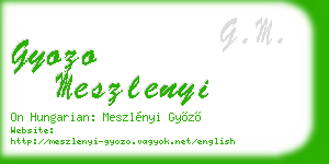 gyozo meszlenyi business card